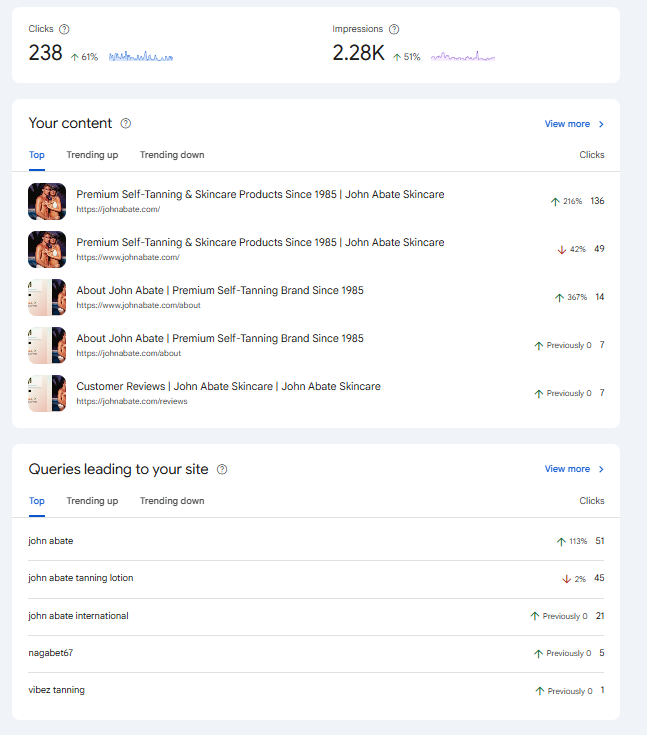Google Search Console Insights showing John Abate pages and search queries receiving organic clicks